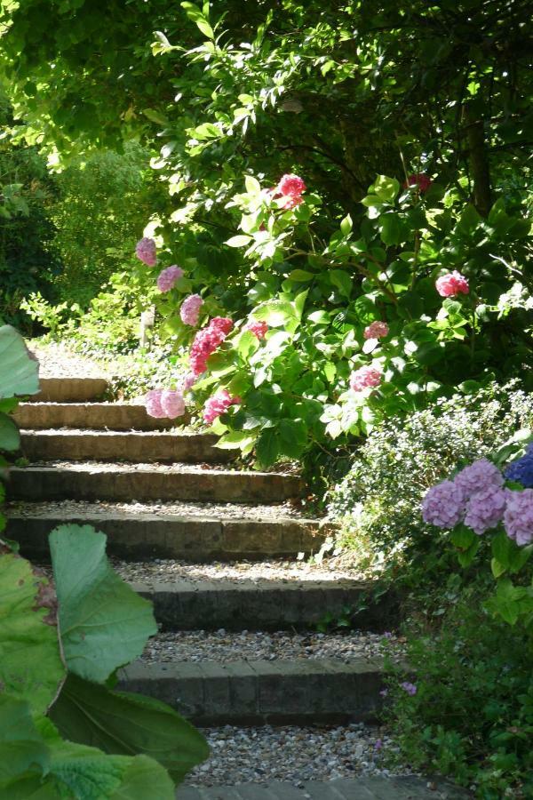Castel De La Terrasse Bed & Breakfast Etretat Exterior photo